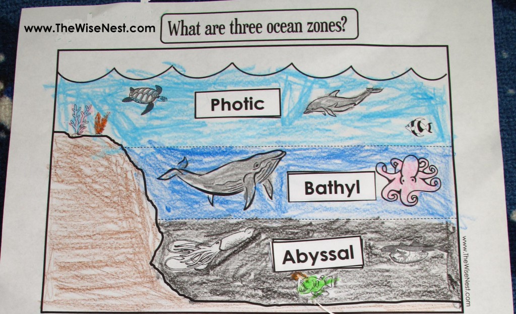 Ocean Zones to Label and Color - The Wise Nest