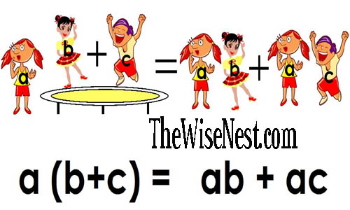 distributive law snapshot copy