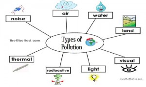 pollution answer key copy