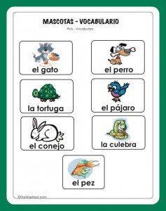 vocabulario